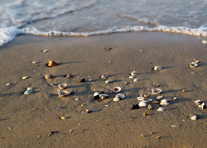 Lovely Overlooking The Pool In *